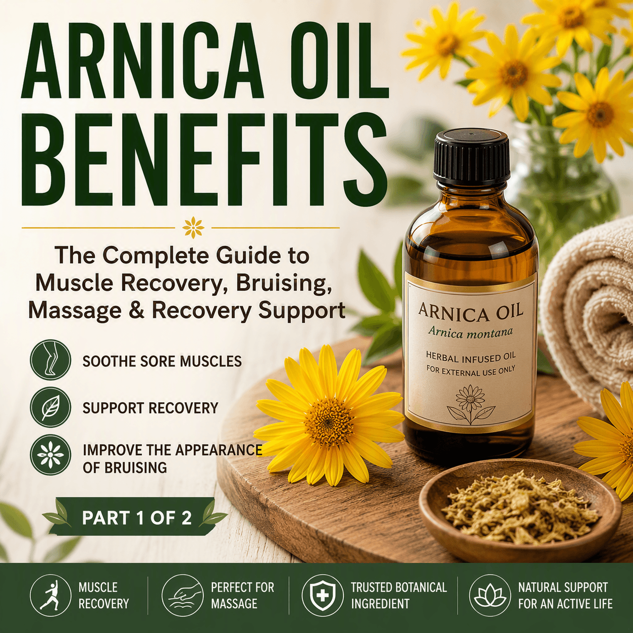 Arnica Massage Oil Benefits - The Complete Guide To Muscle Recovery, Buising, Massage & Recovery Support.