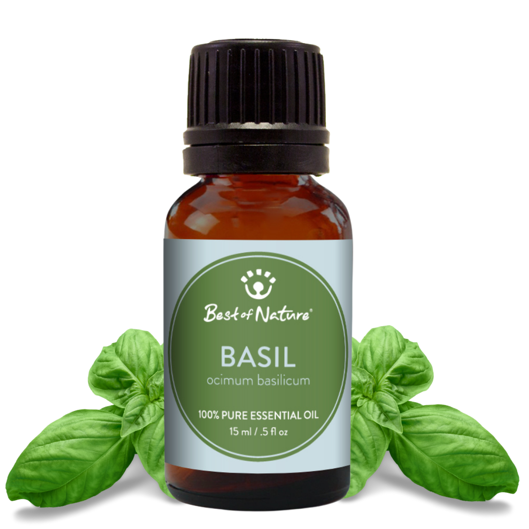 Best of Nature Basil Essential Oil - 100% Pure
