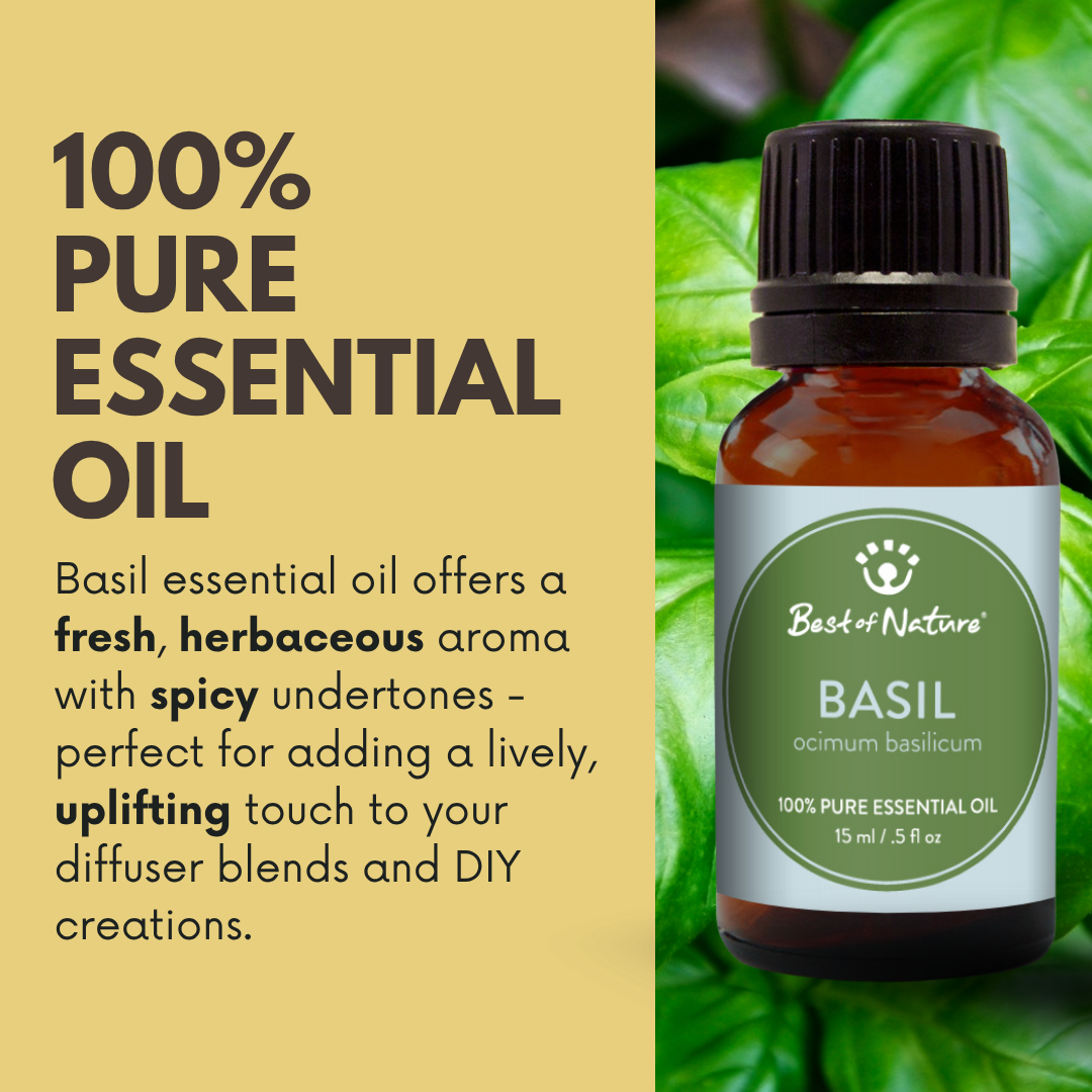 Best of Nature Basil Essential Oil - 100% Pure