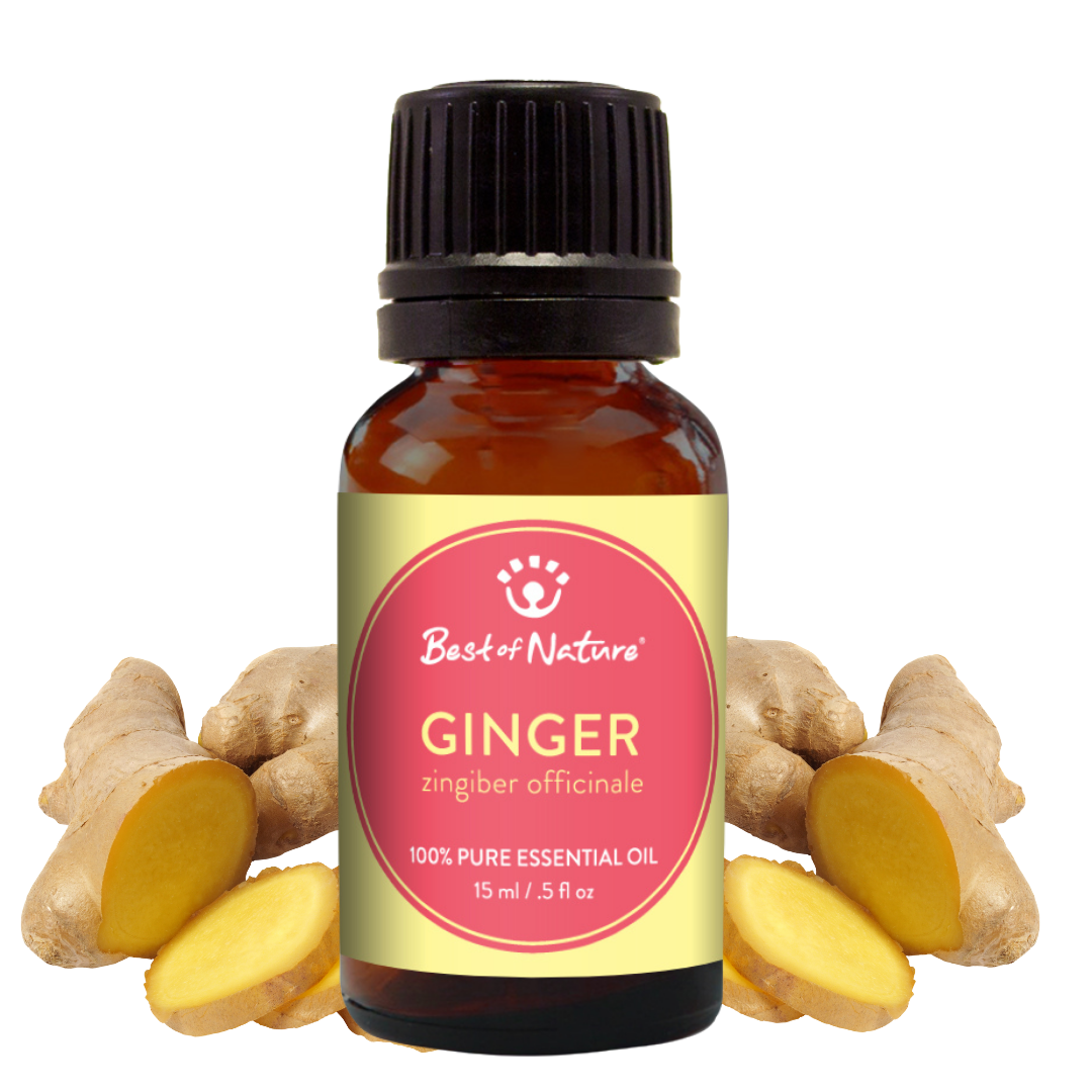 Best of Nature Ginger Essential Oil - 100% Pure