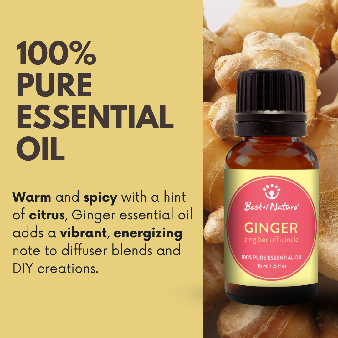 Best of Nature Ginger Essential Oil - 100% Pure
