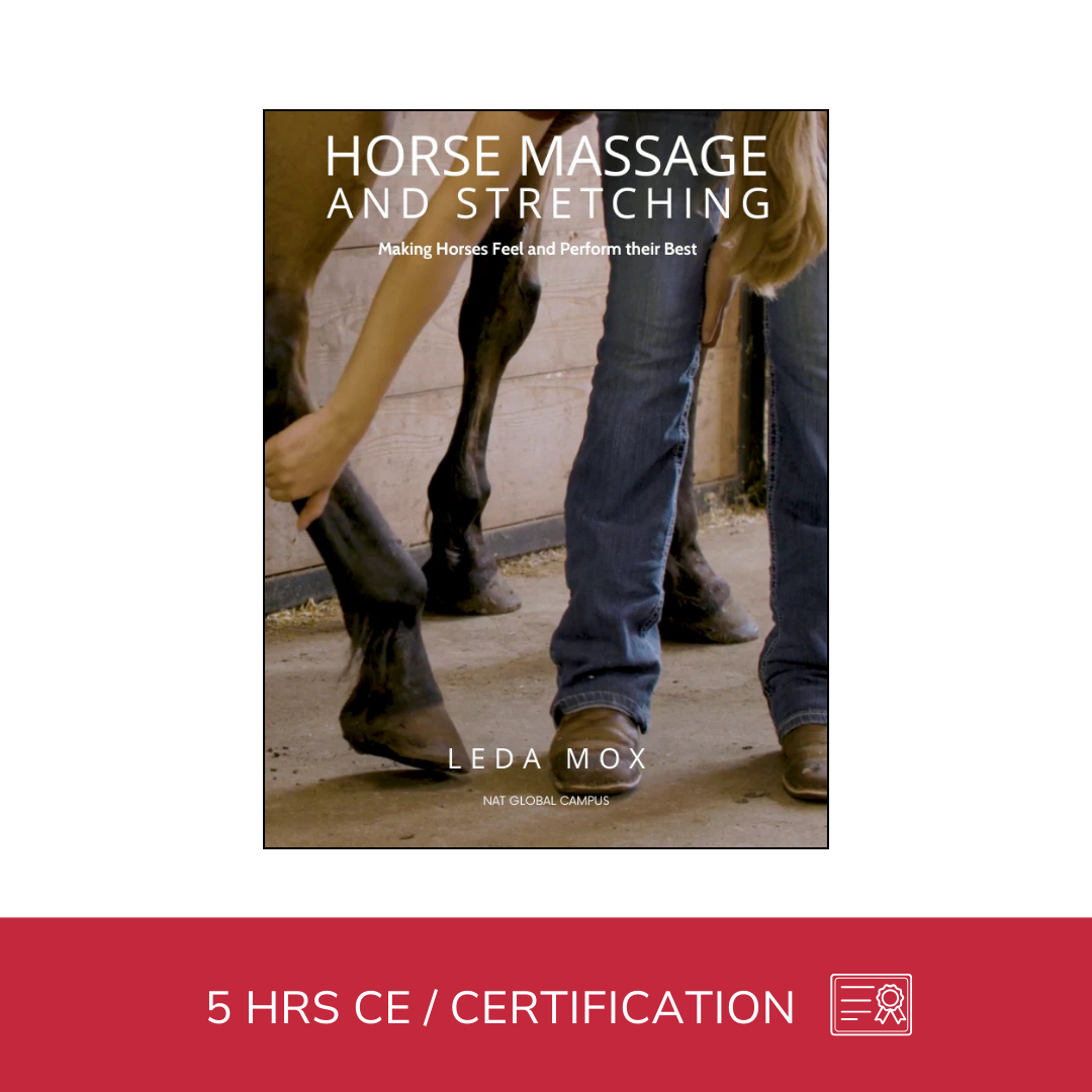 Equine Massage - Horse Massage and Stretching - 5 CE Hours