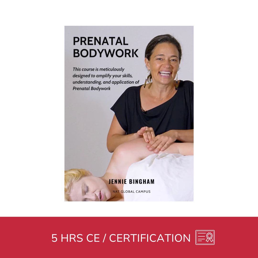 Prenatal Bodywork Certification Course - 4 CE Hours