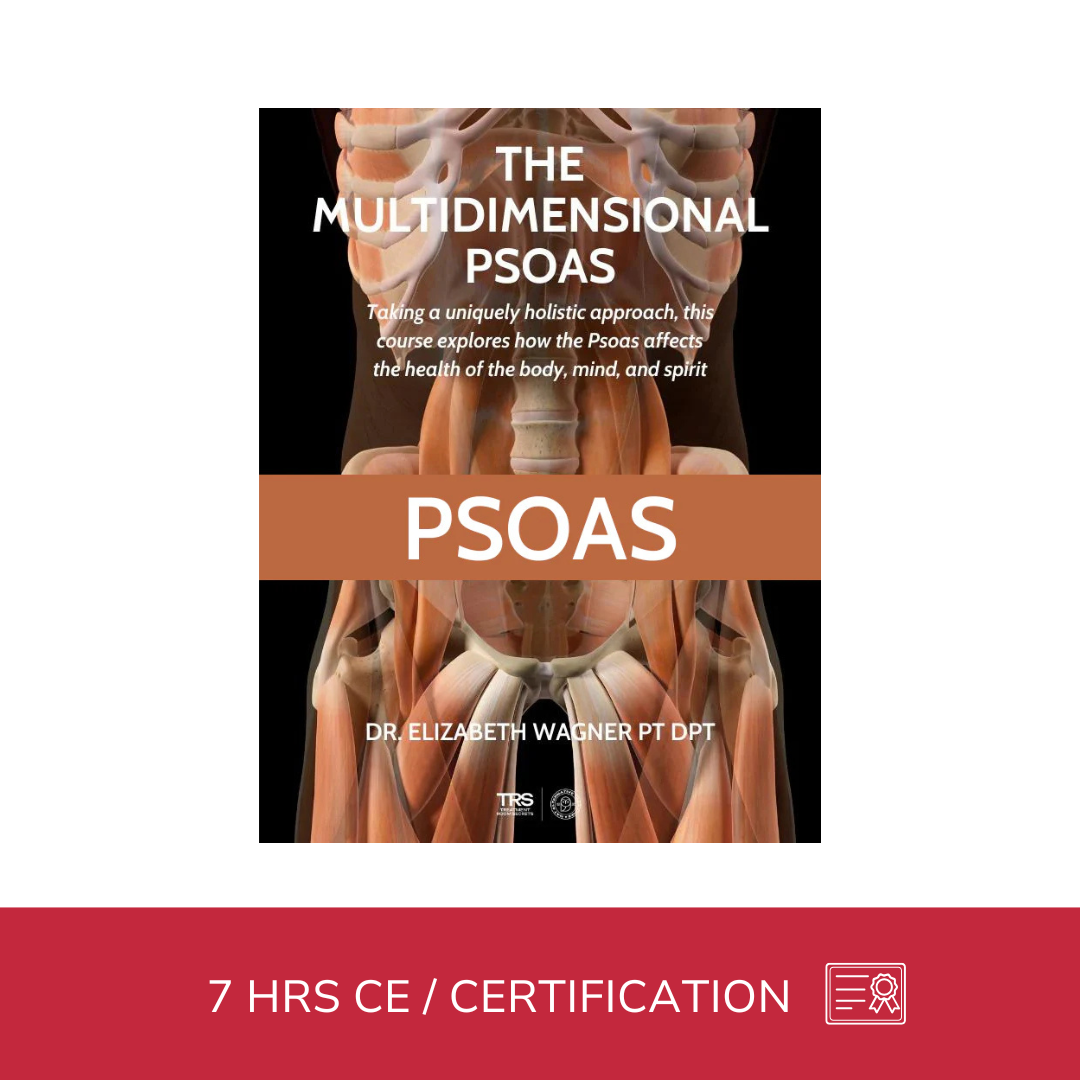 The Vital Psoas - 7 CE Hours