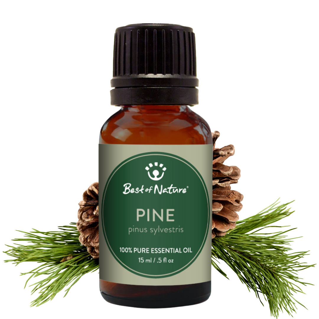 Best of Nature Pine Essential Oil - 100% Pure