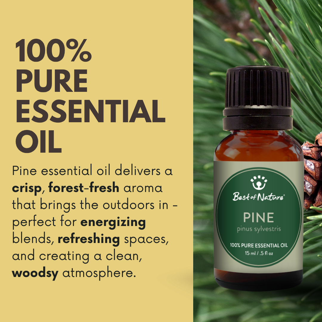 Best of Nature Pine Essential Oil - 100% Pure