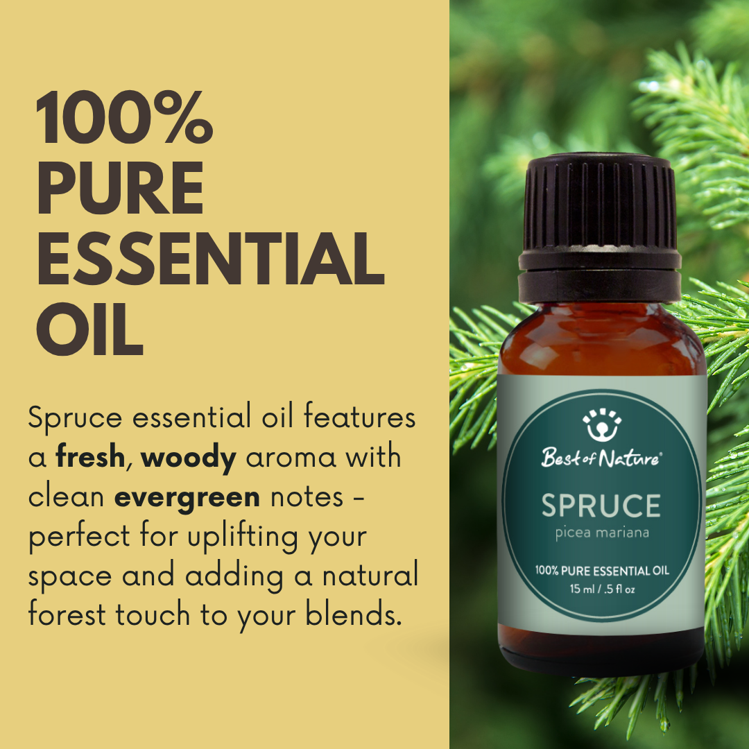 Best of Nature Spruce Essential Oil - 100% Pure