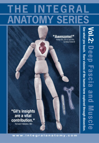 The Integral Anatomy Series DVD - Volume 2 Deep Fascia & Muscle