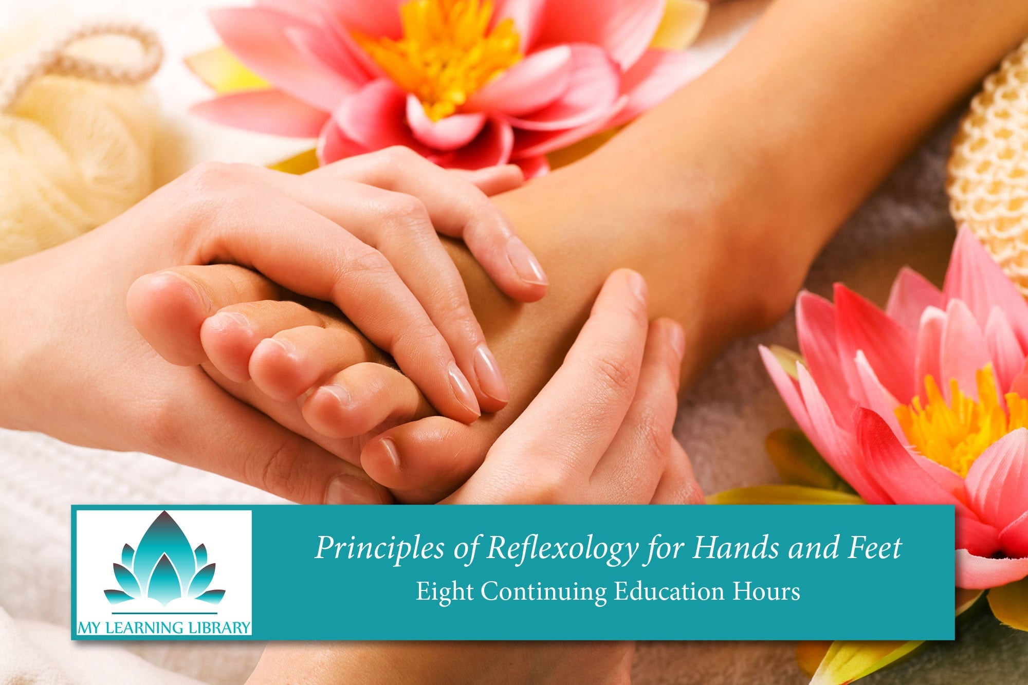 Principles of Reflexology - 8 CE Hours - Spa & Bodywork Market