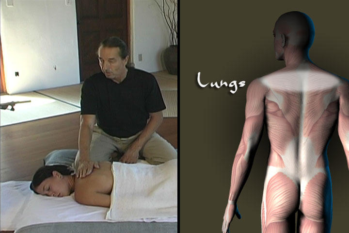 Clinical Shiatsu & Acupressure Massage Video on DVD & Streaming Version - Real Bodywork