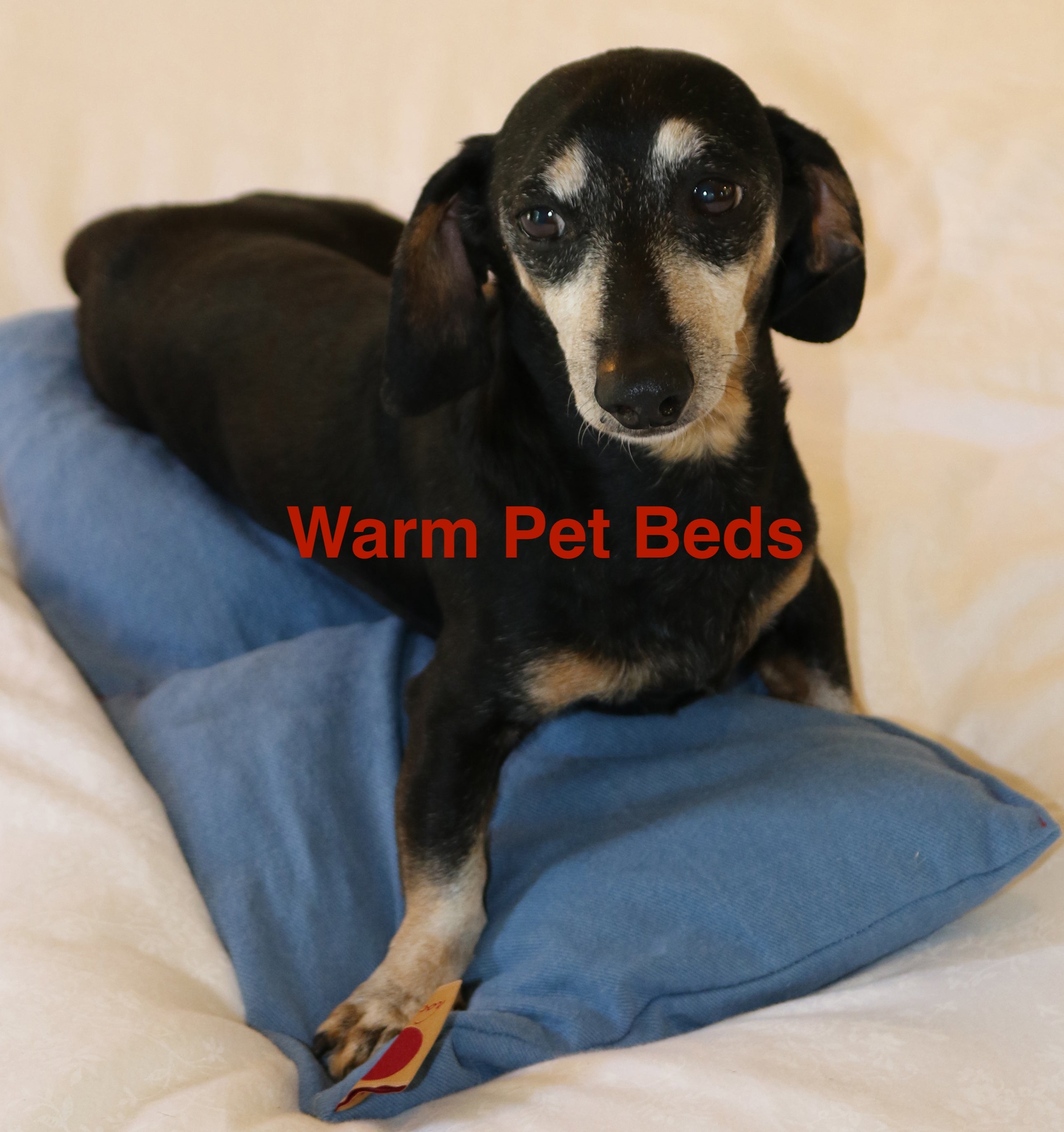 Hot Cherry Double Square Pillow in Blue Denim - Natural Hot and Cold Therapy Pack