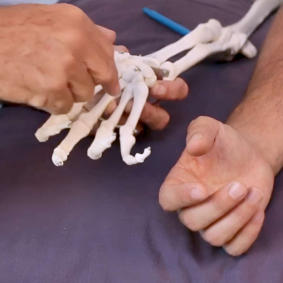 NAT Treating Elbow and Wrist Injuries - 2.5 CE Hours