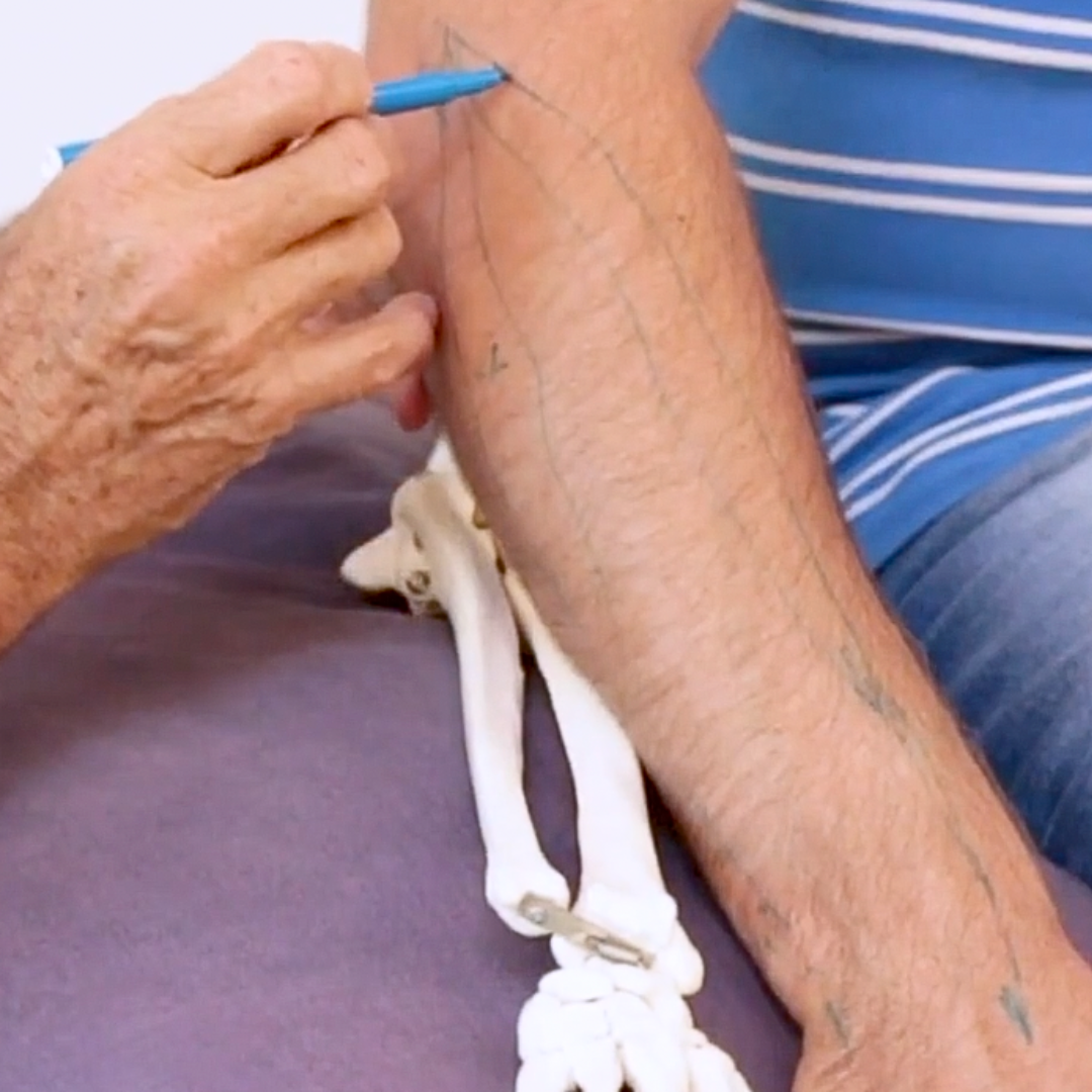 NAT Treating Elbow and Wrist Injuries - 2.5 CE Hours