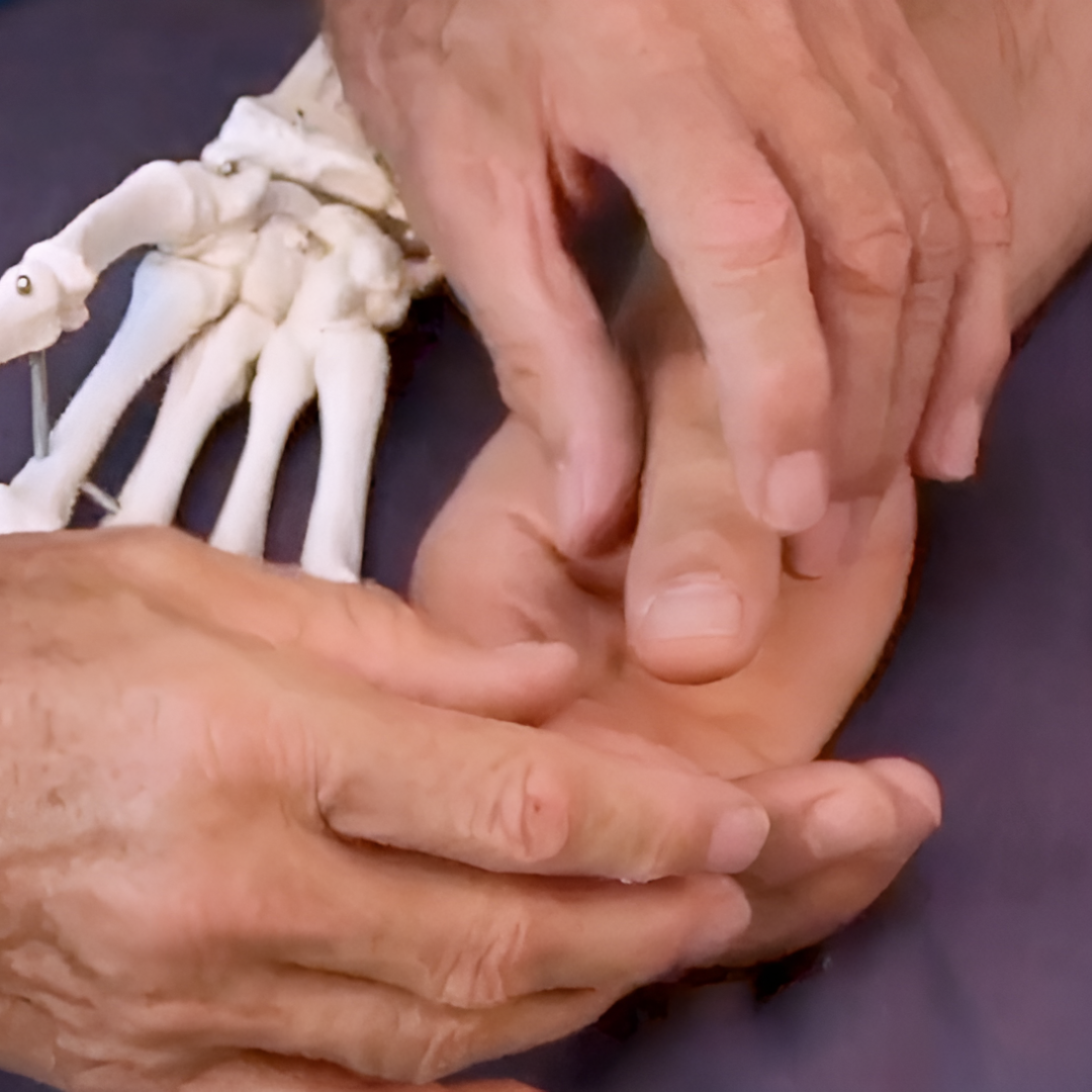 NAT Treating Elbow and Wrist Injuries - 2.5 CE Hours