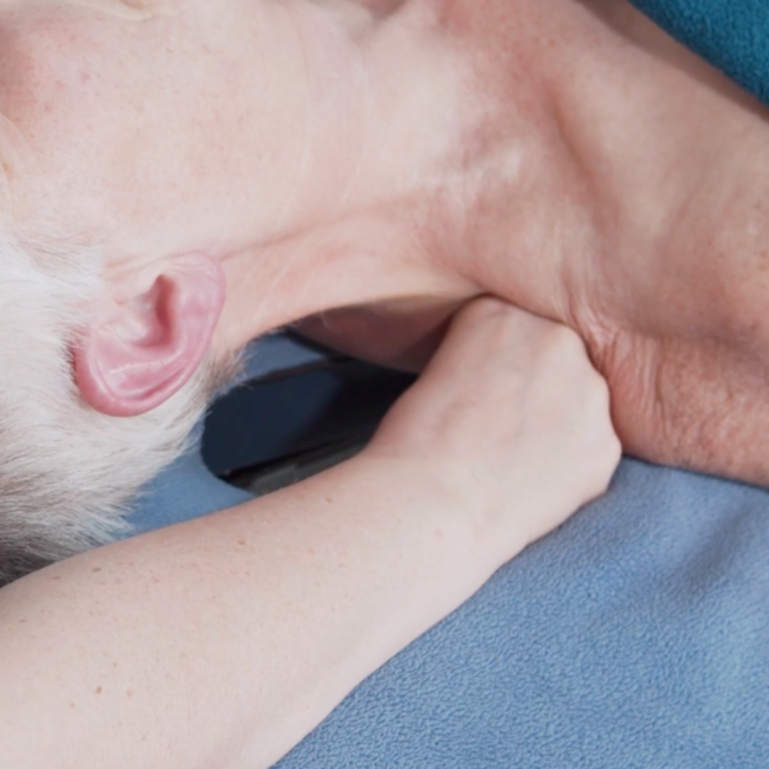 Fusion Medical Massage - 16 CE Hours
