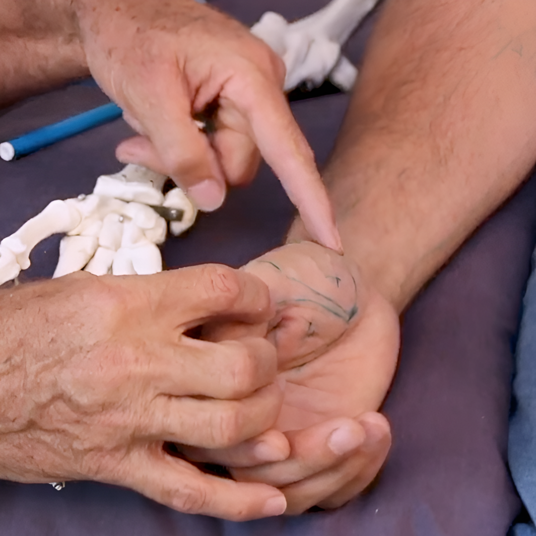 NAT Treating Elbow and Wrist Injuries - 2.5 CE Hours