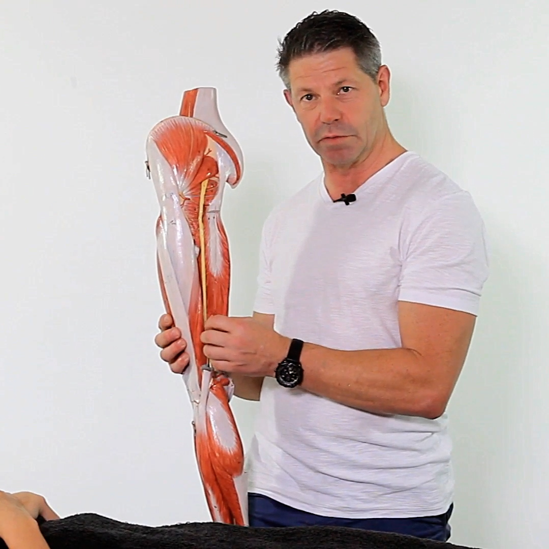 Treating Common Sports Injuries - 4 CE Hours