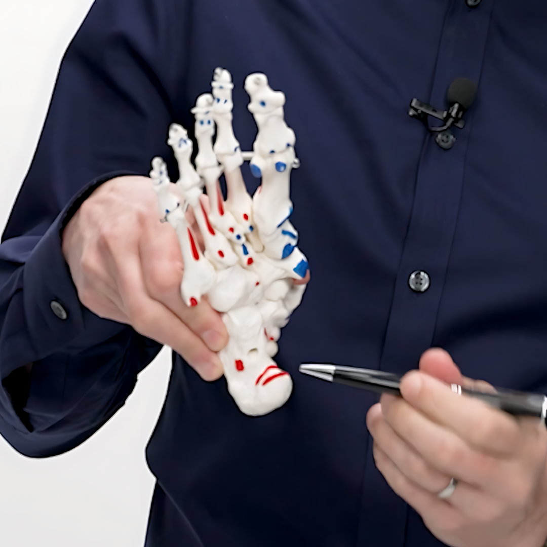 Foundation in Podiatry for Manual Therapists and Rehabilitation Professionals - 11 CE Hours
