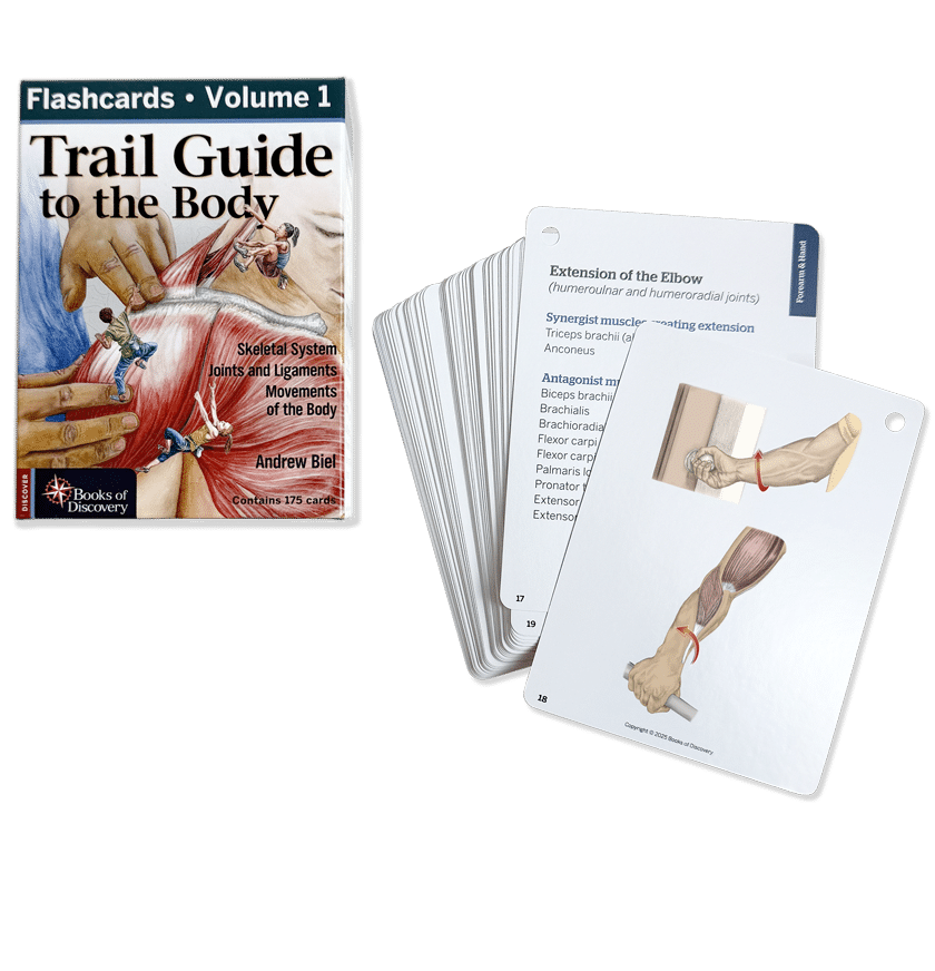 Trail Guide to the Body Flashcards Volume 1, 7th edition - Skeletal System