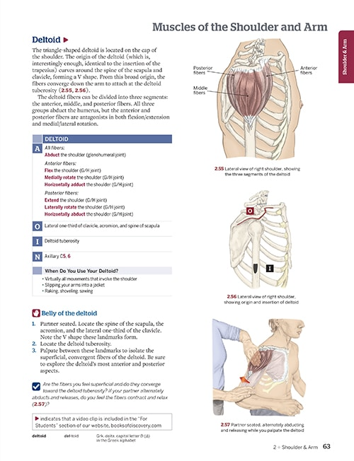 Trail Guide to the Body Textbook, 7th Edition
