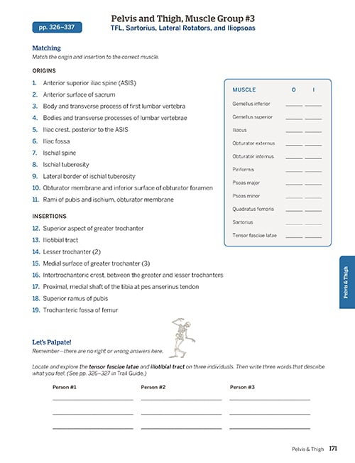 Trail Guide to the Body Workbook, 7th edition