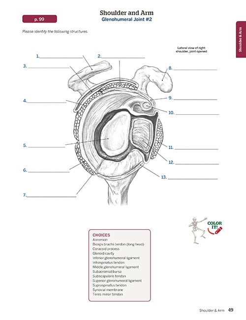 Trail Guide to the Body Workbook, 7th edition