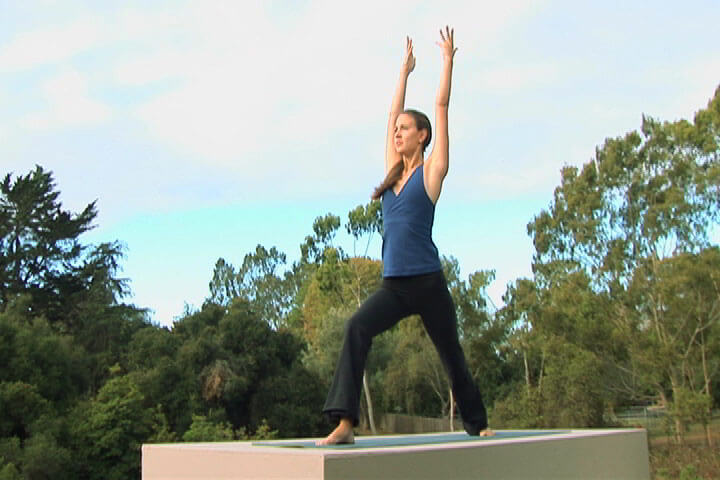 Yoga Gentle Vinyasa Flow Video On DVD - Real Bodywork