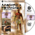 Anatomy & Pathology For Bodyworkers Video on DVD & Streaming Version - Real Bodywork