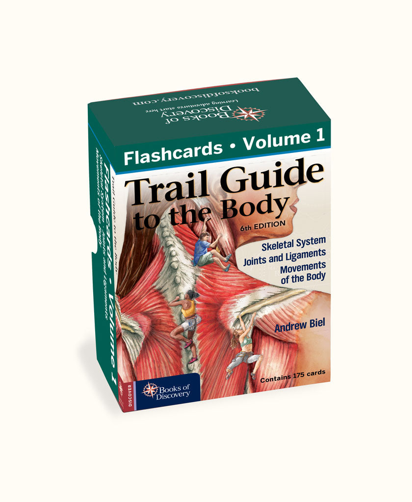 Trail Guide to the Body Flashcards, 6th Edition, Volume 1