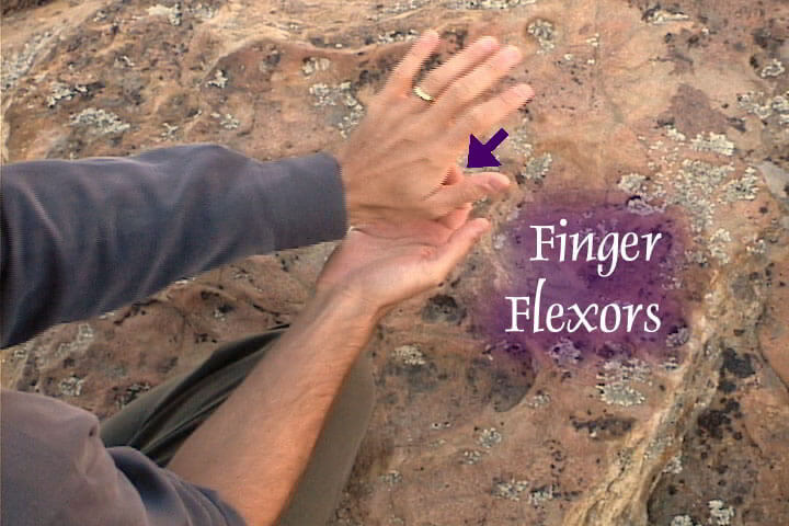 Heal Your Wrist Pain Video On DVD & Streaming Version - Real Bodywork