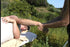 Integrative Massage: Earth DVD & Streaming Version - Real Bodywork