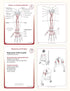 Trail Guide to the Body Flashcards Volume 1 - 5th Edition