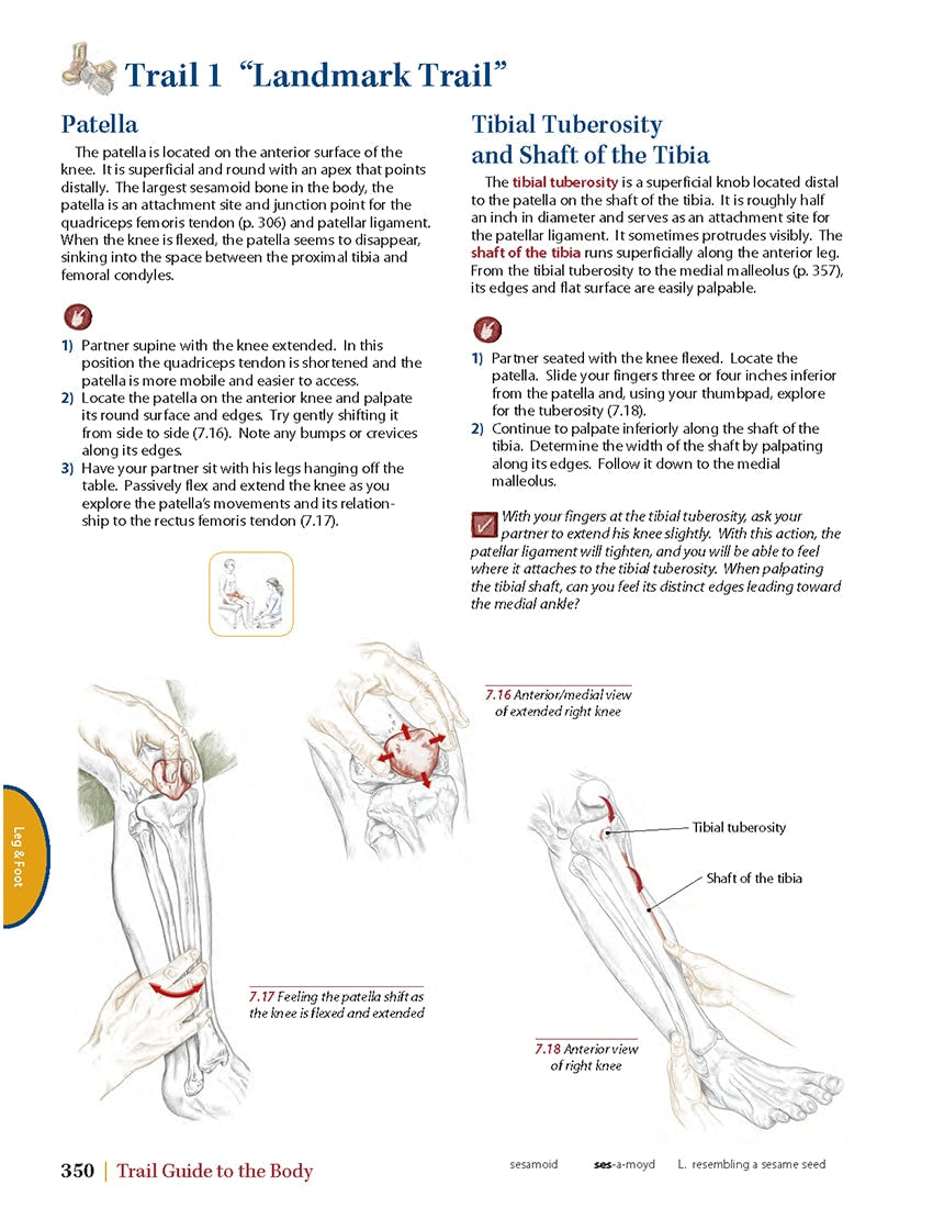 Trail Guide to the Body - 5th Edition