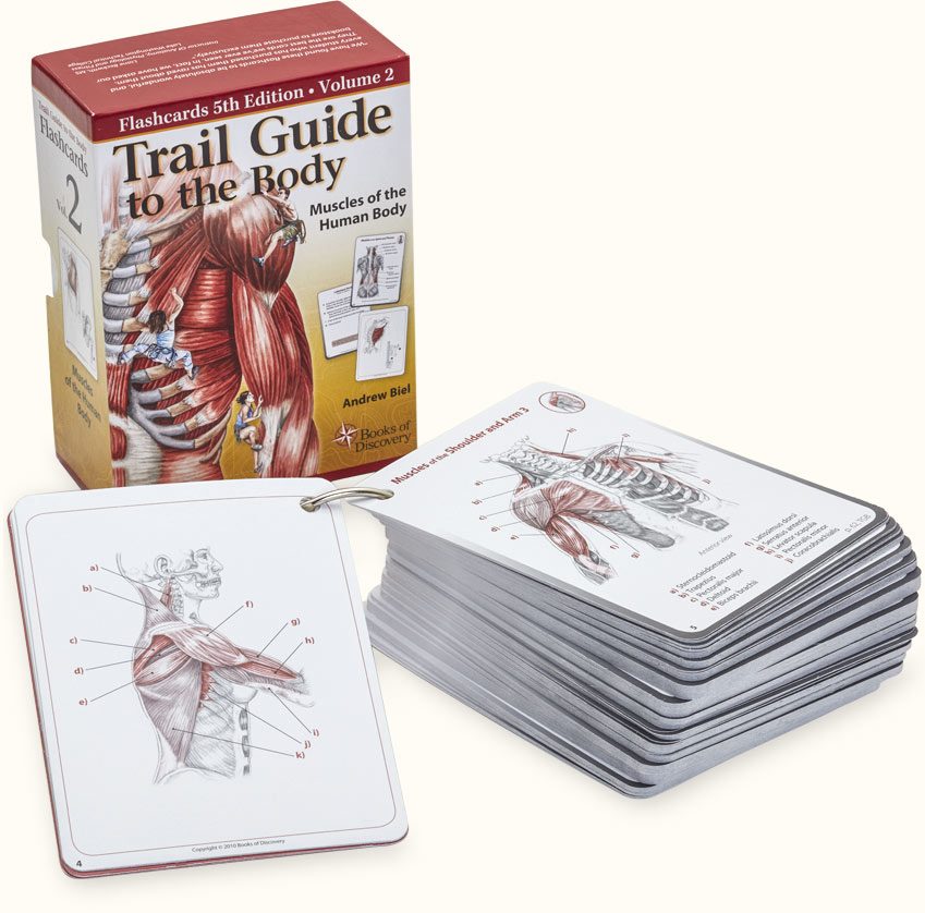 Trail Guide To The Body Anatomy & Palpation Flash Cards V2 Muscles - 5th Edition