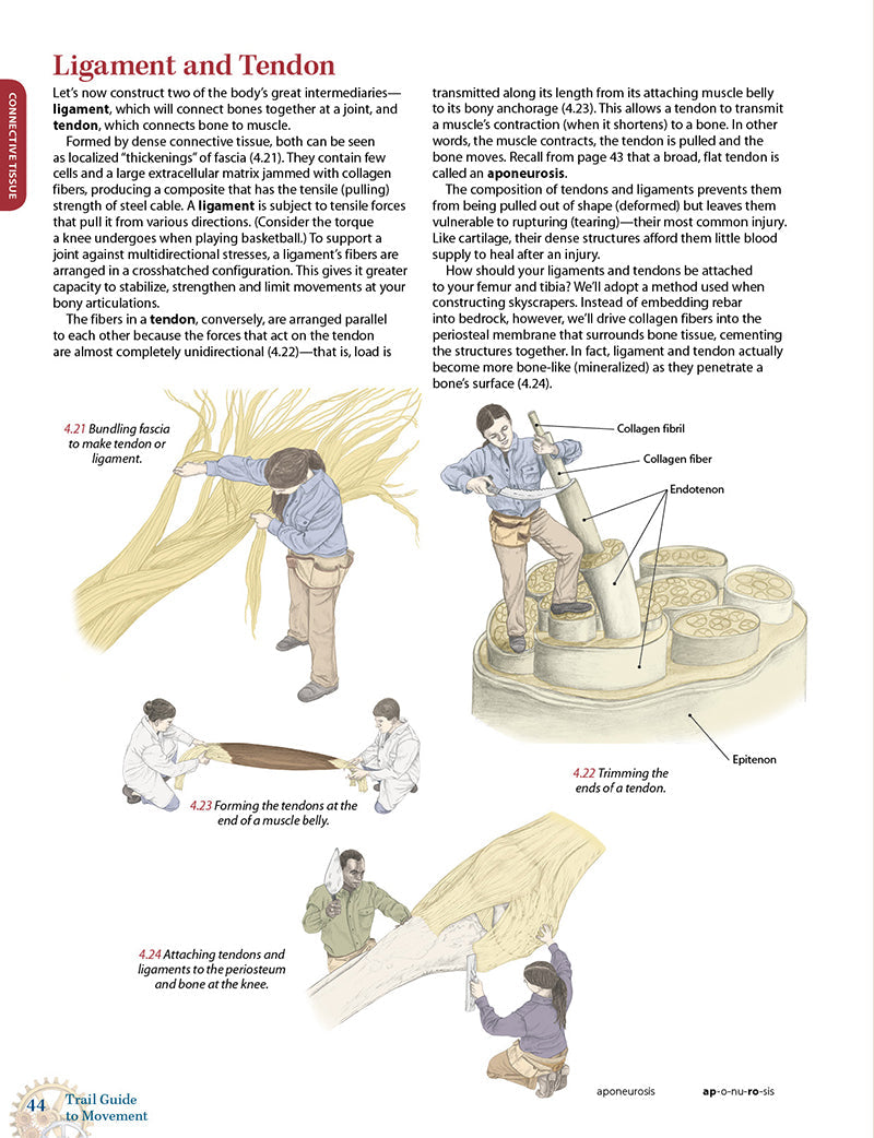 Trail Guide to Movement, 2nd Edition