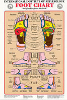 Foot Reflexology Wall Chart, Laminated